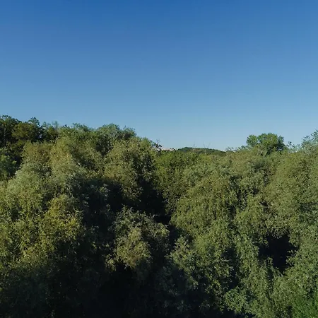 Apartamento Bialopradnicka - Stay&park *